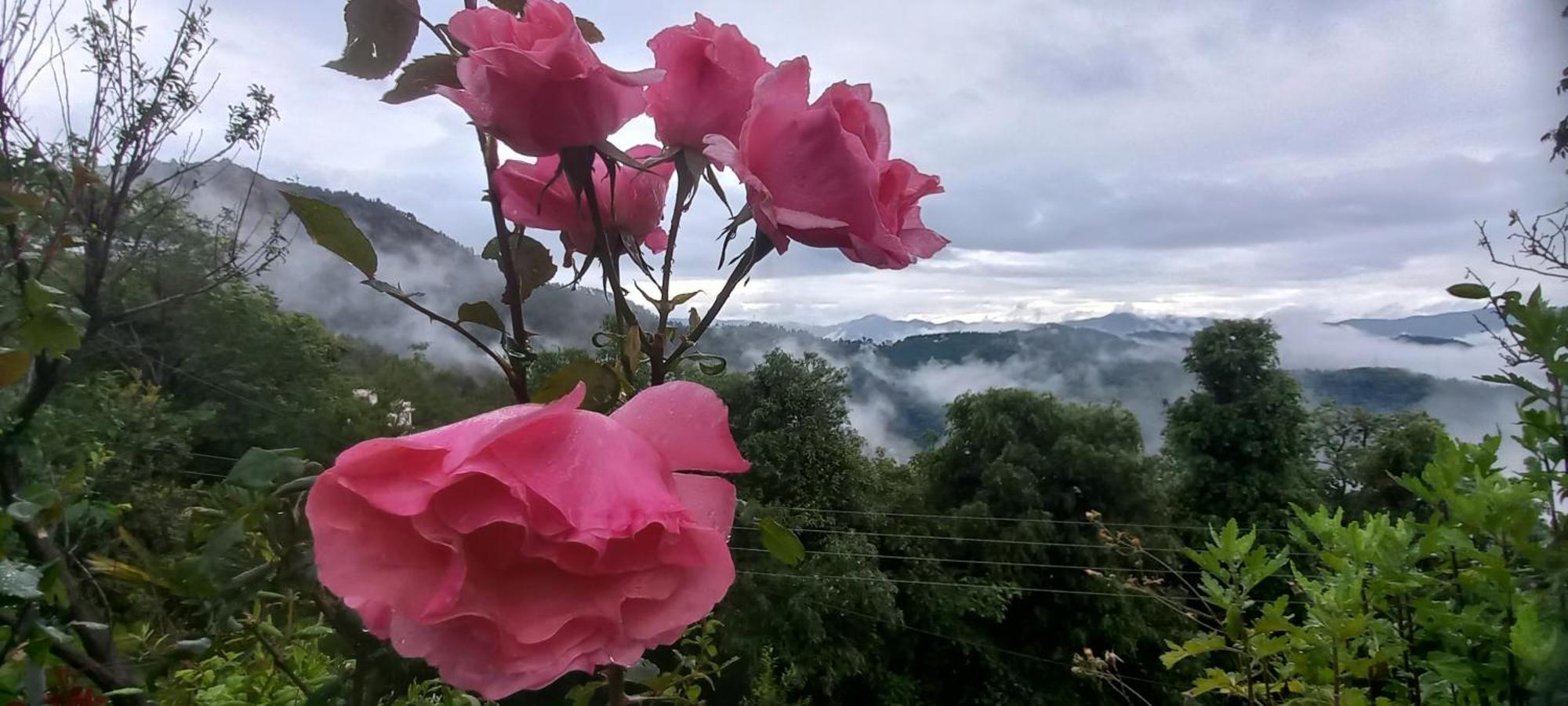 Sunrise Villa Shimla Esterno foto